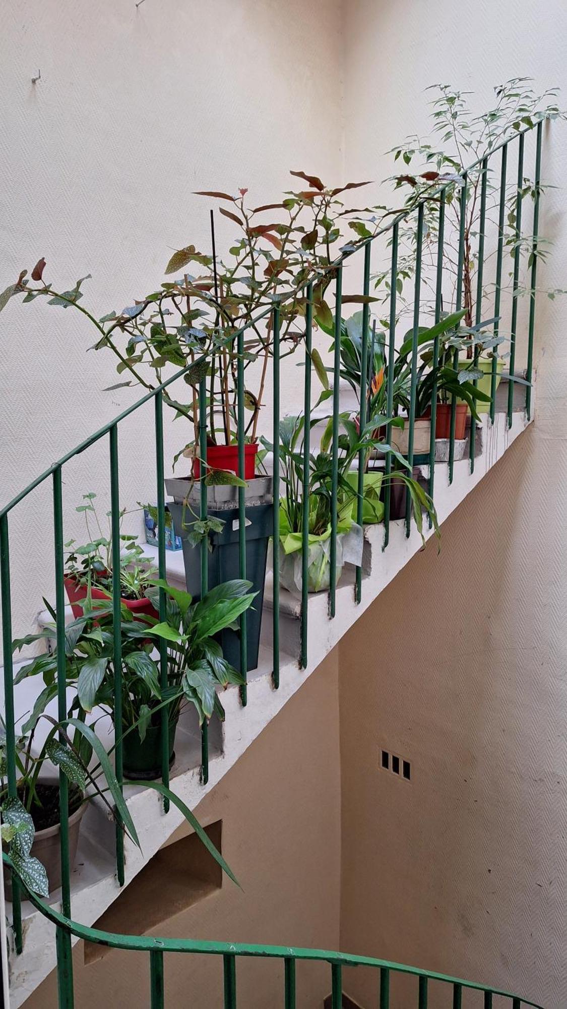 Vacance Et Cure Dans Duplex 80 M2 A Ceret 66400 Extérieur photo